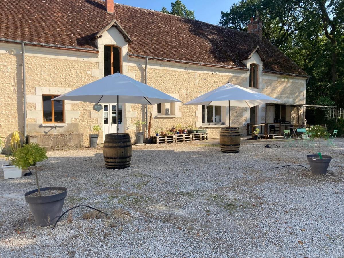 Les Pierres D'Aurele Chambres D'Hotes Saint-Georges-sur-Cher Eksteriør bilde